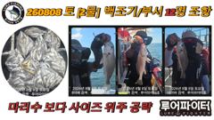8/15 토 [9물] 백조기/부서 13명 조항 입니다.