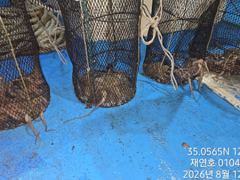 [마산] 야간돌문어 매일 열심히 달립니다 개인 두자리수까지