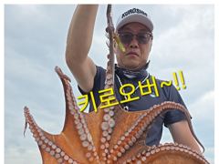내일18일(화)돌문어출조ㅡ출항확정!!(자리여유있습니다)