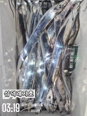 [텐빈] 씨알끝장,기본3~4지 마리수 까지(수요일부터,출항)