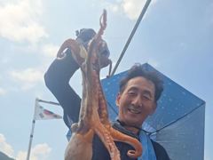 많은 비는 가고, 이번주 물때 좋고, 18일부터 돌문어 출조 ~~고,고~~