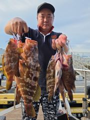 삼천포 마린보이 8. 18. 화요일 부터 붉바리 외수질/야간문어 출항합니다.