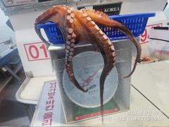 ."여밭돌문어"1300g1200g1000g외 13수12수12수11수11수10수들 3자릿수 팍~팍~(예약가능)