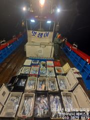 준내만갈치~빵좋고대치들까지 쿨러 채우기~오늘부터 예약가능합니다