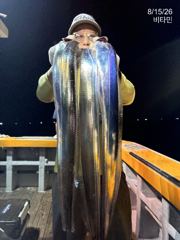 [진해] 먼바다갈치(16석,18석) 씨알급에 묵직한 손맛 오늘, 내일~예…