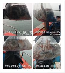 [광진호]문어,주말,평일,선비할인,자리여유 예약중~