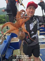 [통영] 통영 송현호))돌문어 사냥 내일도 출동~예약가능!