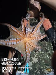 [통영] 사량도 돌문어 (야간) 낚고낚고 kkkk