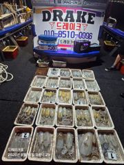 17일 무늬조황