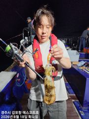[경주] 주간 대삼치및방어/야간 무늬오징어팁런 예약중입니다