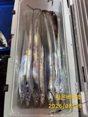 [제주 깊은바당호] 8월 18일 갈치 조황입니다