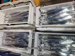 (大갈치)3지4지 밤새~도끼입질에 주렁주렁~동양호(오늘 예약)