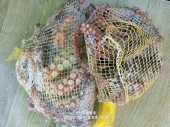 [사천] 삼천포 광용호 돌문어 출조합니다~! 예약중