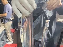 준내만 4지급 텐빈 은빛 갈치 마릿수 쿨러 가득 조황 오늘 무조건 출항 자리여유많음