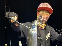 보아스호 실시간 조황