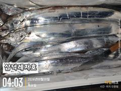[텐빈]씨알좋은 3~4지 반쿨 (오늘.소수인원출항확정)