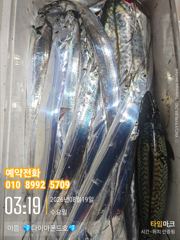 [진해] 쿨러가득 사이즈죽여주네! 내일부터예약가능! 전화주세요~