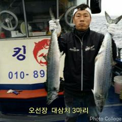 8-20(실시간)돌문어~금.토.일 예약중