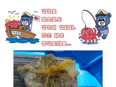 [사천] 삼천포덕성호 돌문어 출조 예약 받습니다.(2026년 8월 20일…