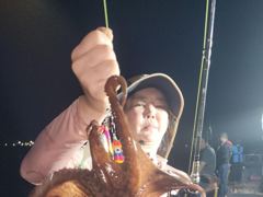 8-20(실시간)돌문어~금.토.일 예약중