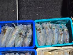 8.20일 무늬오징어 무시급 부터 고구마.감자 까지 다양한 싸이즈 손 맛보고 왔습니다