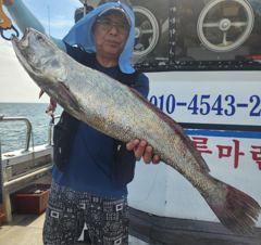 조황정보 - [격포 블루마린호] 8/20 민어 외수질 조황 - 격포 와따피싱,배낚시,선상낚시