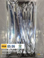 [통영라임호] 8월20일  갈치입항 조황입니다 !!! 믿.오. 낚 .선    통영라임호입니다 