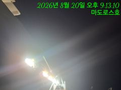 갈치 텐야텐빈 오늘조황입니다 잘올라옵니다 !!