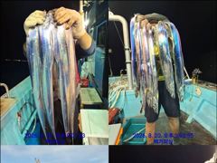 통영백가피싱)이제 시작된 왕갈치 사냥!씨알이 좋습니다/밤새 꾸준하게