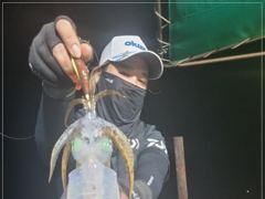 무늬 걸았다하면 고구마~