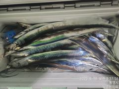 내일 텐빈텐야 달립니다 6분예약중 무조건 달립니다 10자리여유 있습니다