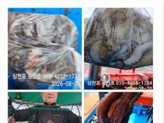 [사천] 문어조황굿{선비,5만 토,일,}자리널널 예약가능