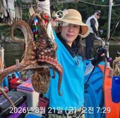 [사천] 문어 장원 27마리!