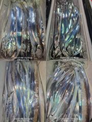 준내만 갈치 4지 쌍걸이까지 미치것네~~(화욜부터 예약 가능)