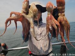 [진해] 21일세진호/돌문어대박kg.마릿수많이~월.가능~