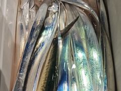 준내만3지4지씨알급손맛짱짱쿨러빵빵(월욜예약가능)