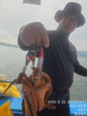 내만 돌문어 조황 내일 예약 중