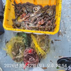 [사천] 암초 포인트 문어 낚시