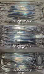 [진해] 내만갈치 많다 많아 손맛보고~~~예약가능