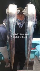 [통영최강리드호] 갈치 실시간조황/왕갈치 잘 올라옵니다