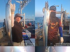 [완도] [완도 청산호] 26.08.22 씨알 3-5지급 갈치로 쿨러 가…