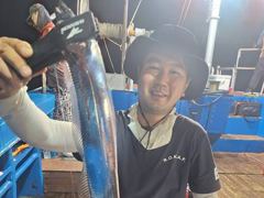 [진해] 와우~준내만칼치 3,4지급 쿨러가득 대박조황!!내일월요일예약가능