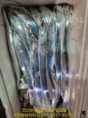 내만칼치ㅡ 바글바글. 쿨러빵빵 채우러갑니다 (예약가능)