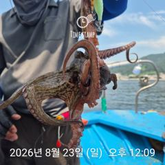 [사천] 암초 포인트 문어 낚시