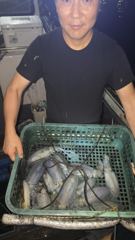 블루윙피싱 23일 팁런 무늬 조황 ^^