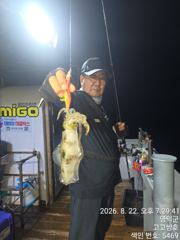 8월23일 팁런조황