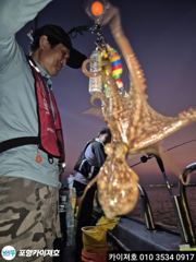 [포항] 23일 돌문어 조황 입니다
