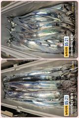 [통영] 통영 뉴 아시아호>> 땀 흘려가면서 열낚 하신 조사님들 쿨러 …