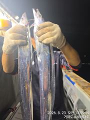 [거제] 뉴새바다호 14석 갈치 3지 4지 오늘 예약됩니다