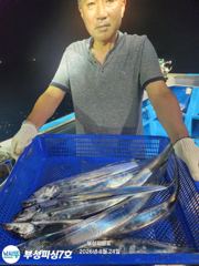 [통영] [부성피싱]왕칼치 오늘은 마릿수 최상!!쿨러가득 풀치속 솎아내기…